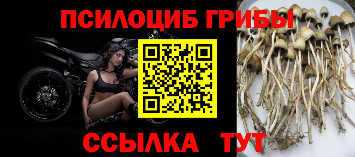 Рузаевка  Галлюциногенные грибы мухоморы  Галлюциногенные грибы MAGIC MUSHROOMS  Вход с VPN 